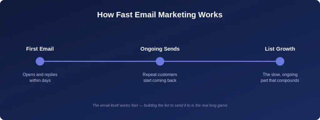 email marketing results timeline for small business